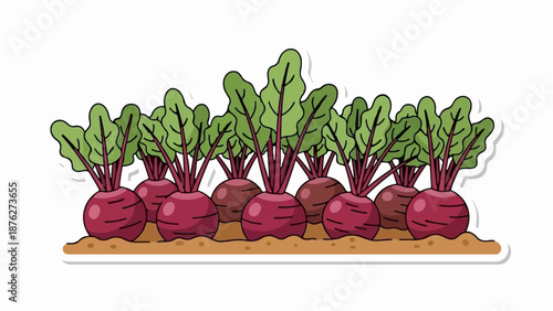 Vibrant beets grow in a row, their green leaves reaching skyward