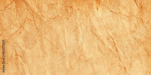 a close up of a light brown paper surface with darker brown veins running through it