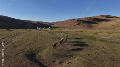 Peaceful scene of a horse by the river near a traditional nomadic yurt camp in Kyrgyzstan