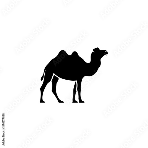 Silhouette of a camel isolated on white background, Vector