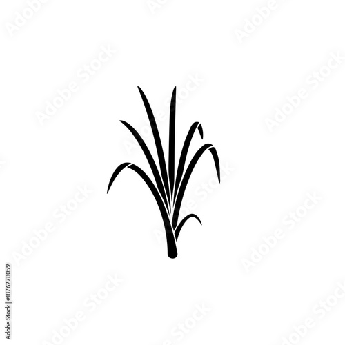 Simple sugarcane plant isolated on white background, Vector