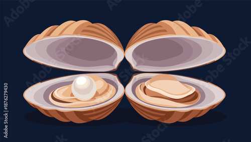 Two opened seashells on a dark blue background show one containing a large white pearl and the other empty, displaying its fleshy interior.
