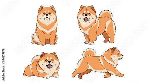 Four fluffy chow chow dogs are illustrated in various positions, including sitting, standing, and walking, showing their thick orange fur.