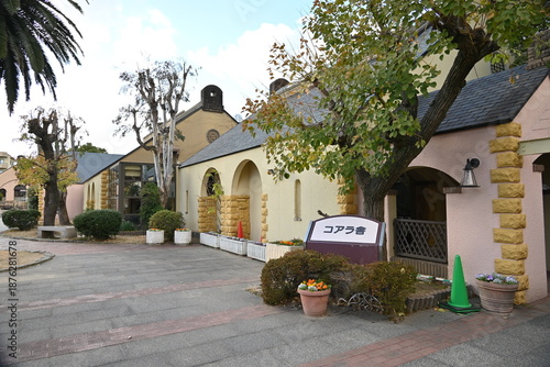 Photography 王子動物園のコアラ舎