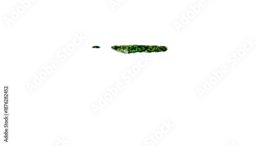 Small patch of green foliage against a black background. Minimalist