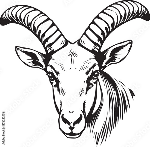 a black and white drawing of a goat s head with large horns
