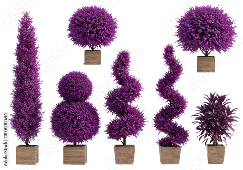 Vibrant deep purple topiaries, spherical shrubs, conical trees, and bushy plants in minimalist pots, precisely isolated on a transparent studio background with ample copy space, design resource