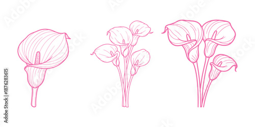 Doodle calla lilies icon set against a white background. Flower sketch. Coloring book page. Hand-drawn line art. Outline vector stock illustration.