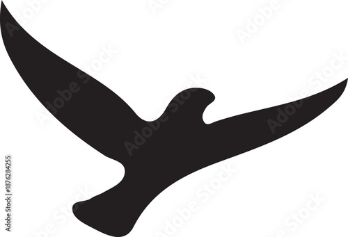 Flying bird in silhouette white background.