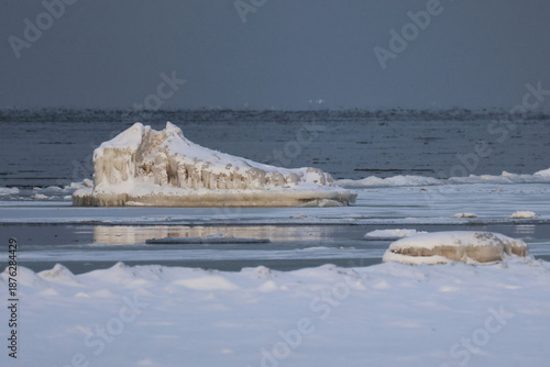 a frozen block of ice in the shape of an alligator head