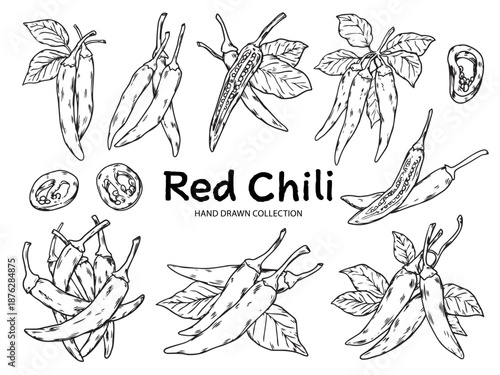 Set of hand drawn red chili pepper outline drawing illustration