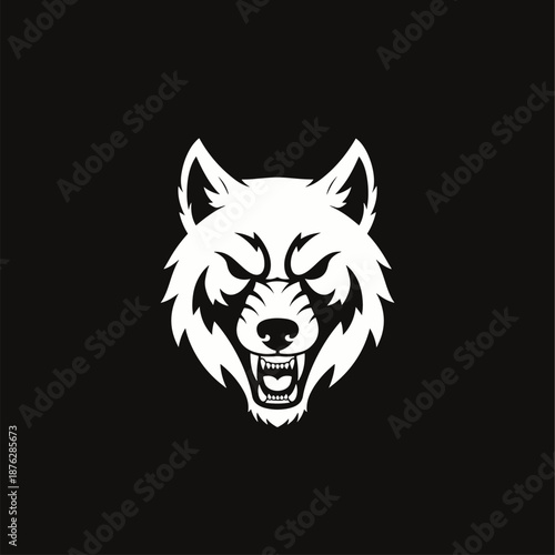 White Wolf Head with Aggressive Expression on Black Background.