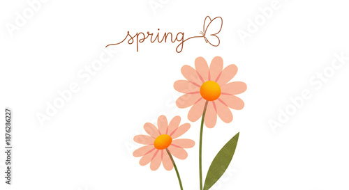 Spring Daisy Blooms for Fresh Marketing Campaigns, Website Graphics, and Cheerful Social Media Posts