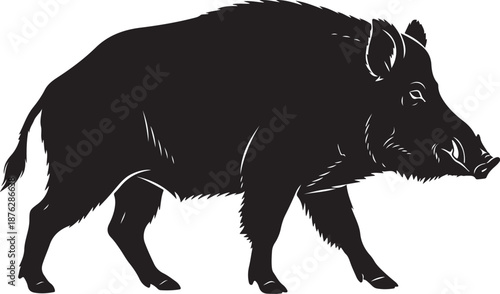 Black Boar Silhouette Walking on White Background Illustration