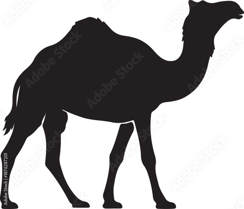 Silhouette of a Majestic Camel: A stark, silhouette of a regal camel stands against a neutral background. This striking image emphasizes the unique profile and strength of this desert icon.