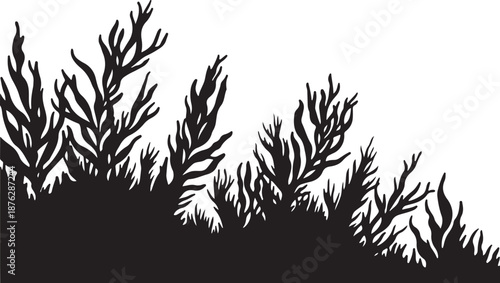 Black Silhouette of Seaweed Against White Background Illustration