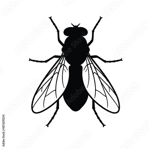 Black silhouette of a fly insect from top