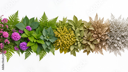 Colorful array of plants showcasing nature's vibrant palette