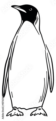 Hand drawn line art illustration of a penguin depicting standing for wildlife designs