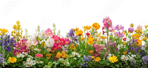PNG Spring flowers border garden landscape colorful.