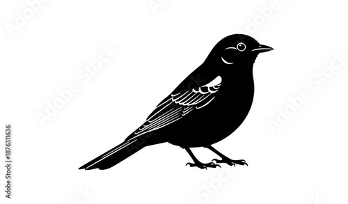 Bird silhouette vector illustration wildlife avian symbol isolated on white
