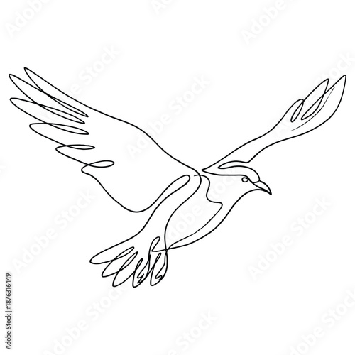 Elegant bird in flight