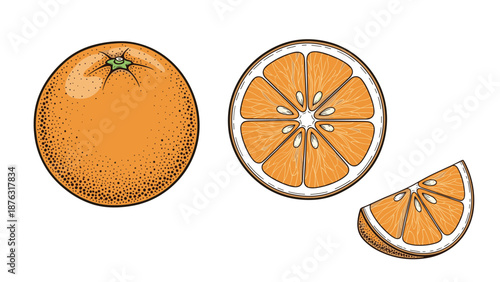 Vintage engraving style illustration set of a whole orange, a cross-section slice, and a wedge, detailed with dotwork shading.