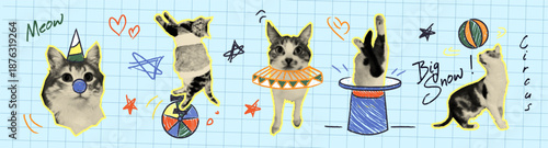 Halftone cats with doodle circus items on grid background. Vector realistic illustration of funny pets playing with hand drawn clown nose, color ball, vintage hat, cute pet meme art, collage stickers