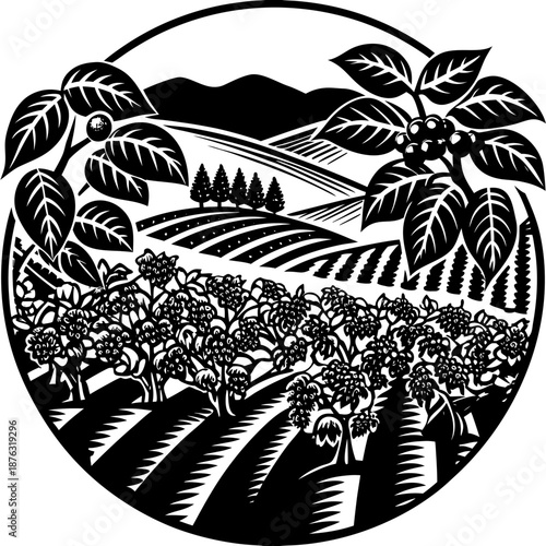 Vibrant Coffee Plantation Landscape