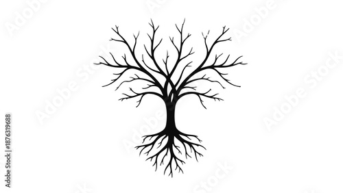 Striking silhouette of a bare tree with intricate branches and exposed roots on a clean white background.