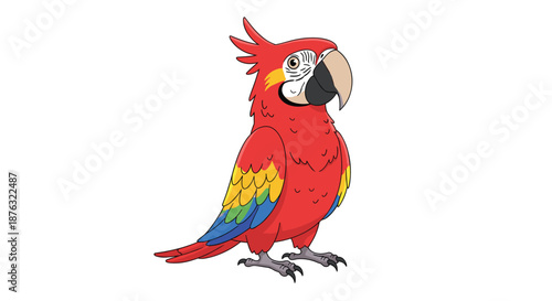 Colorful macaw parrot with red yellow and blue feathers stands alone on a clean white background with a large beak.