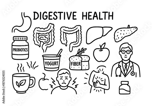 Digestive health elements: probiotics, fiber, nutrition, and medical support illustration