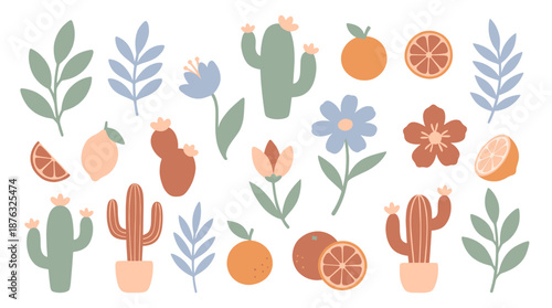 A collection of cacti, flowers, and citrus fruits displayed together in a simple, illustrated style on a white background from a direct viewpoint