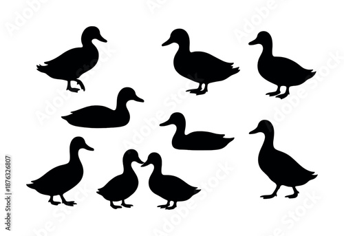 Silhouette collection of ducks in various poses