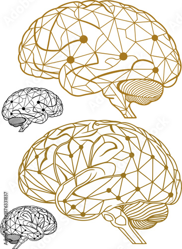 vector illustration of brain