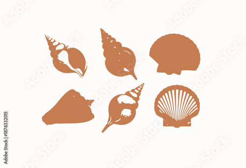 A vibrant collection of diverse seashells showcasing various textures and spirals, elegantly arranged against a crisp white background