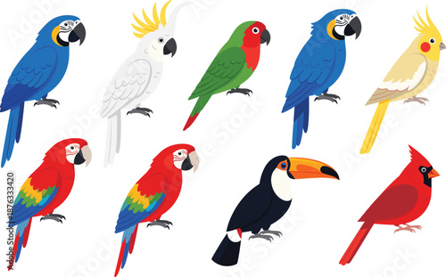 Set of tropical bird vector illustrations featuring colorful macaws, cockatoos, toucan, cardinal, and parrots in flat cartoon style isolated on white background.