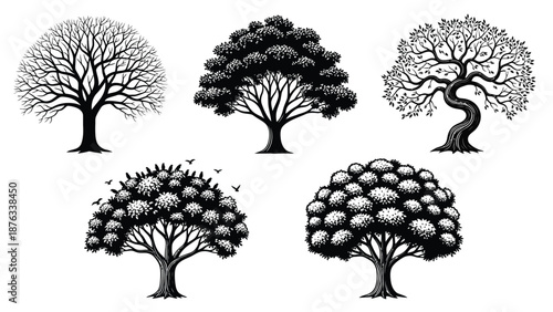 Collection of stylized tree silhouettes showing bare and full foliage variations