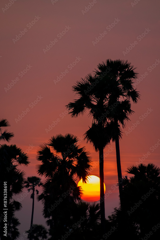 Obraz premium Tropical Sunset Serenade: Palm Tree Silhouettes Embraced by an Orange Sky