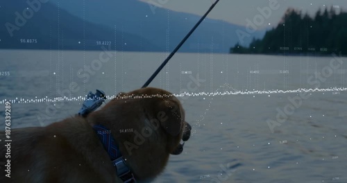 Dog being visualized standing at boat edge, showing fishing rod arching and data overlays floating