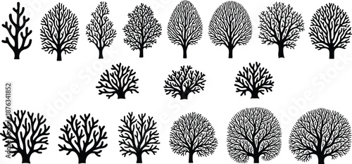 Bare tree silhouette illustration set with detailed branching forms, black winter woodland designs for logos, posters, backgrounds, prints, seasonal decorations, and botanical graphic projects