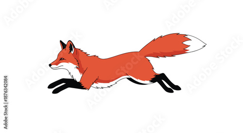Detailed illustration of a red fox running or jumping across a plain white background with its tail extended.