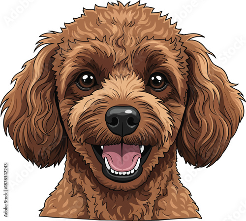 Miniature Poodle dog smiling face closeup headshot portrait
