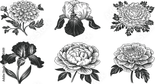 Vintage hand drawn floral vector set, black ink peony iris dahlia sketches, botanical garden flower illustrations