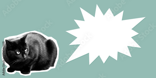 Copy space flyer collage of black cat sitting on retro blue background with bang speech bubble