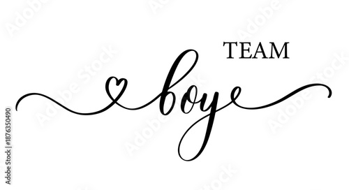 Handwritten Calligraphy Team Boy Gender Reveal Vector Design.