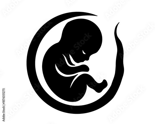Silhouette of a baby in the womb, medical illustration
