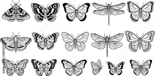 Black and white insect illustrations, butterfly and dragonfly sketches, detailed wing patterns, entomology art, vintage insect drawings, nature-inspired line artwork
