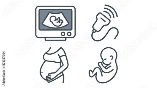 A pregnant woman and illustrations of fetal development and care.