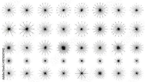 An array of dandelion seed heads in varying stages of dispersal